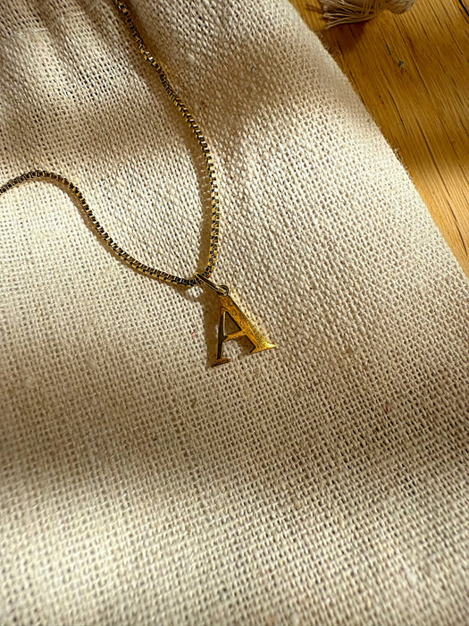 Collar Any